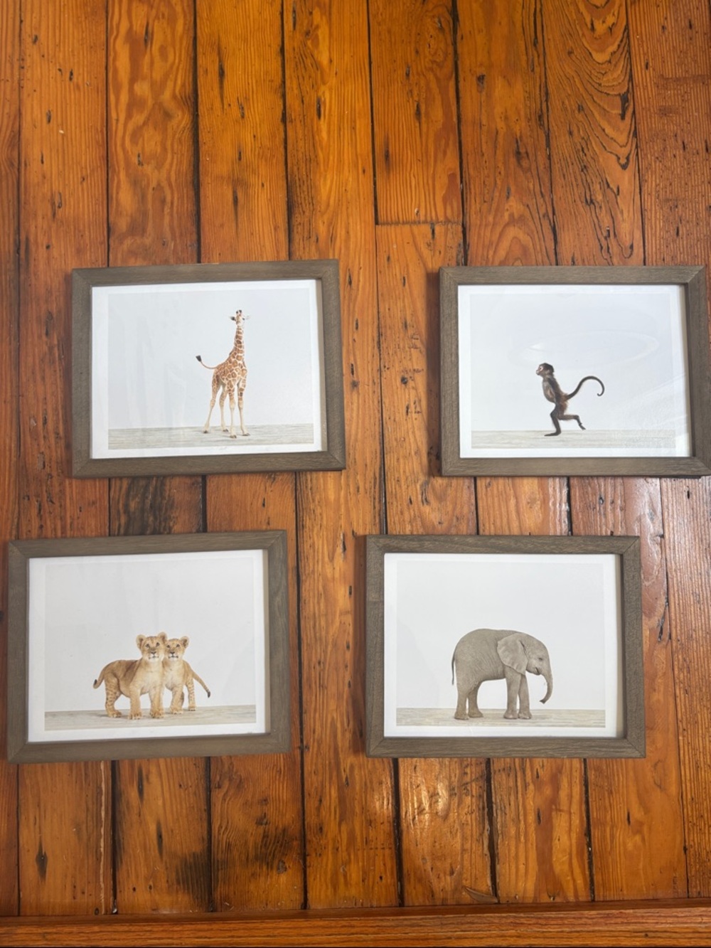 Framed and SIGNED Sharon Montrose Prints